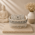 Crystal Fringe Cocktail Handbag Silver | color:cream